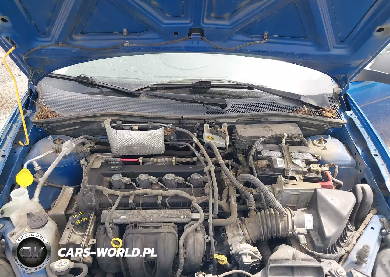2010 Ford Focus Se VIN:1FAHP3FN7AW254019 - 10