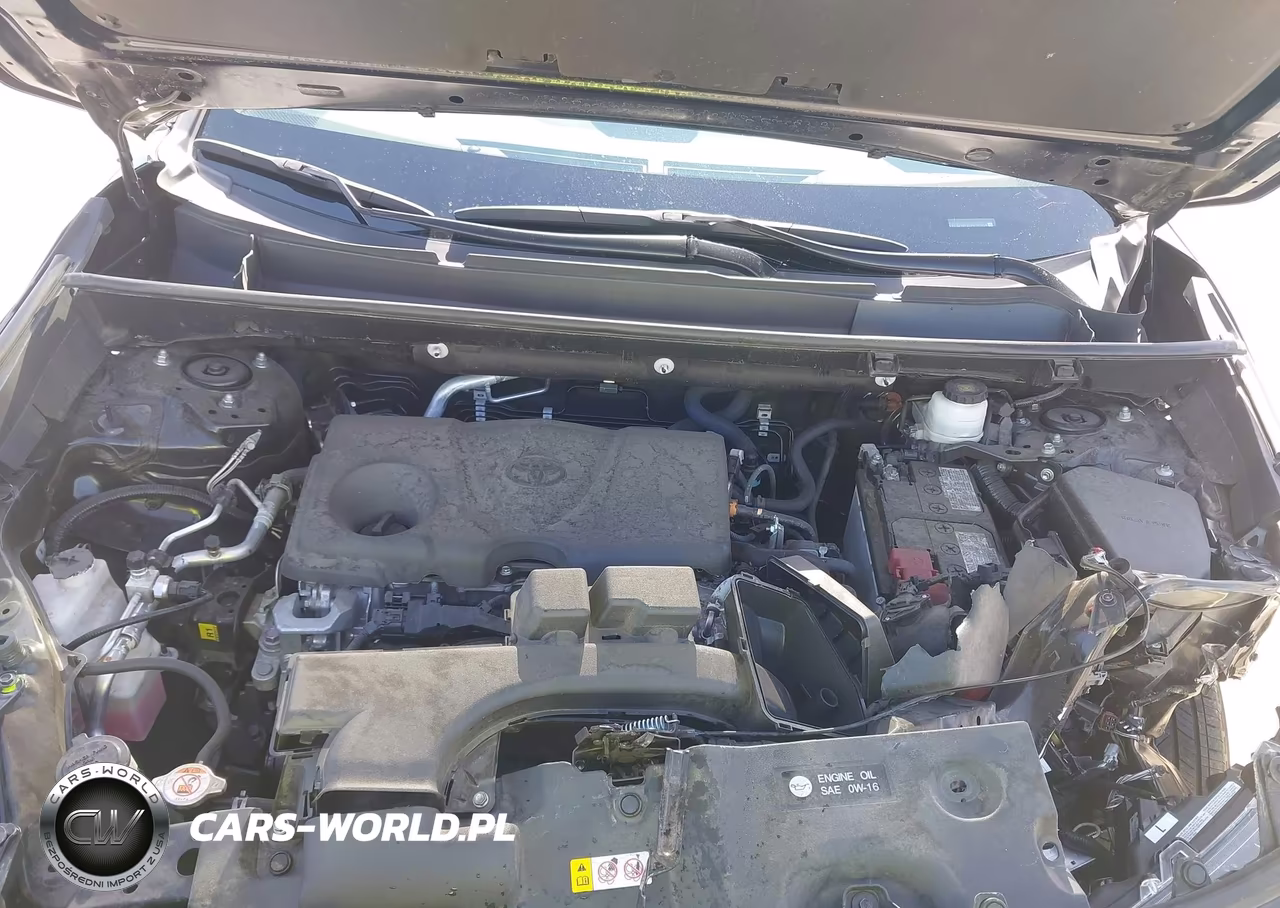 2024 Toyota Rav4 Xle VIN:2T3W1RFV5RW341658 - 10