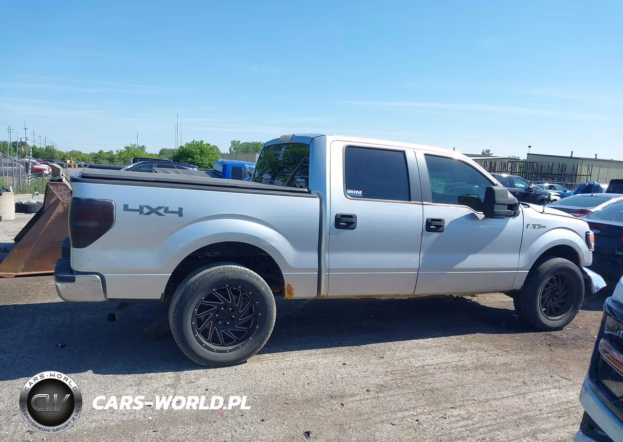 2010 Ford F-150 Xlt VIN:1FTEW1E81AFC48538 - 13