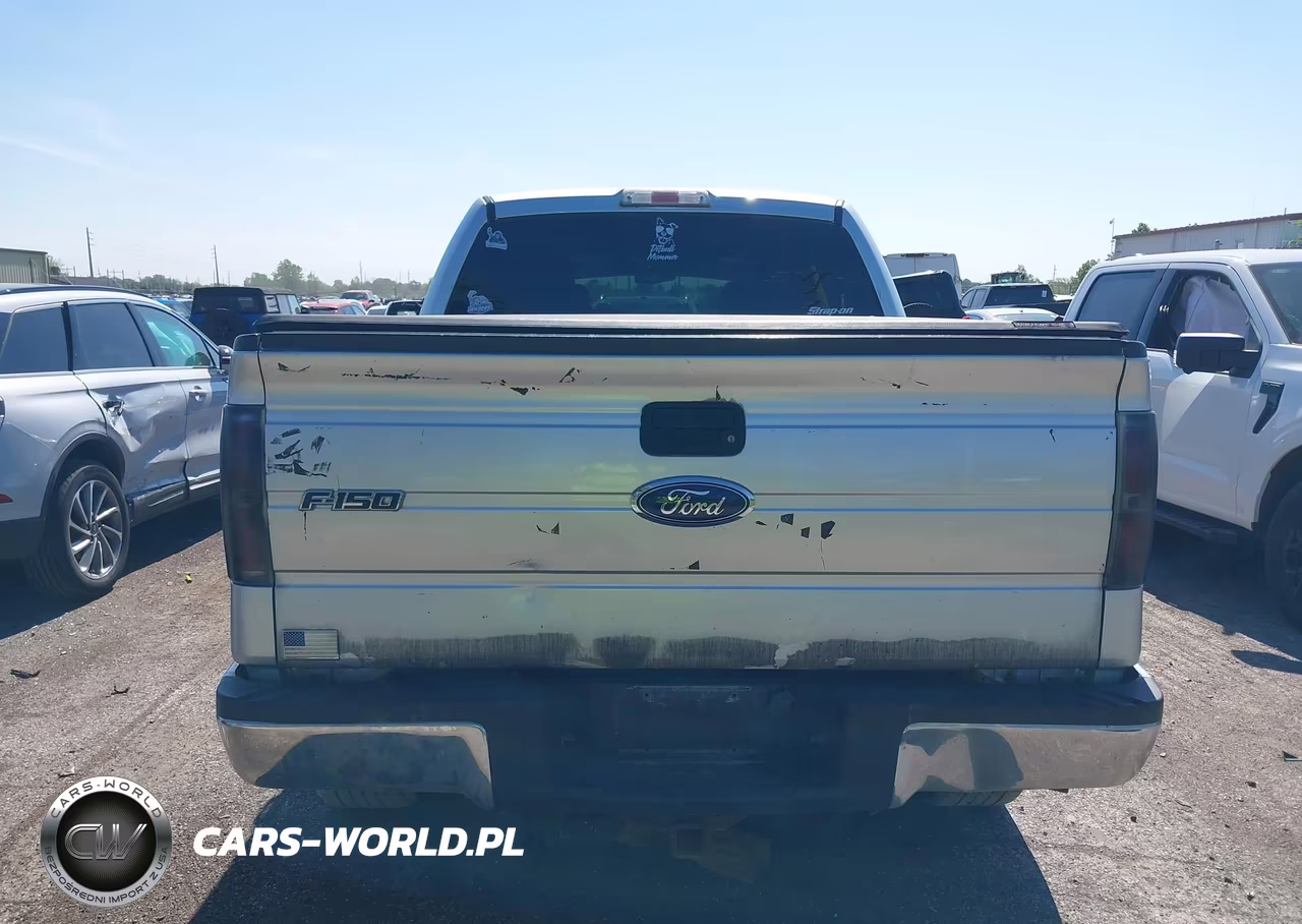 2010 Ford F-150 Xlt VIN:1FTEW1E81AFC48538 - 16
