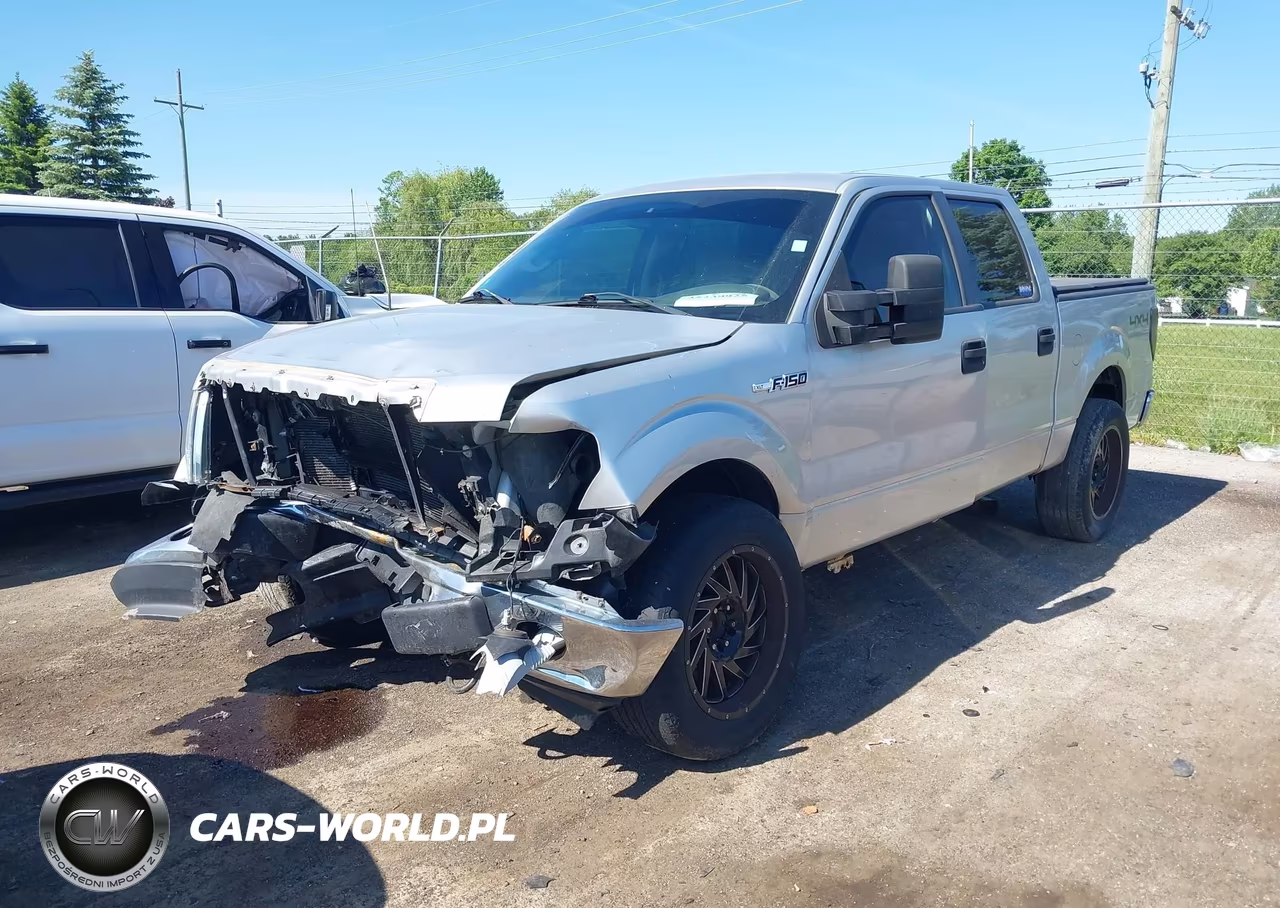 2010 Ford F-150 Xlt VIN:1FTEW1E81AFC48538 - 2