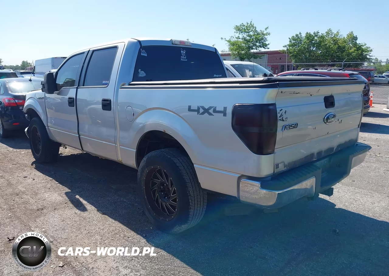 2010 Ford F-150 Xlt VIN:1FTEW1E81AFC48538 - 3