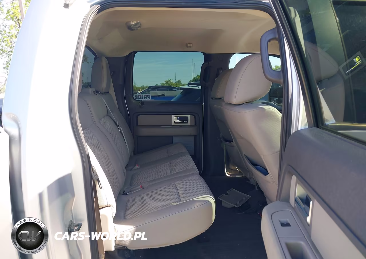 2010 Ford F-150 Xlt VIN:1FTEW1E81AFC48538 - 8