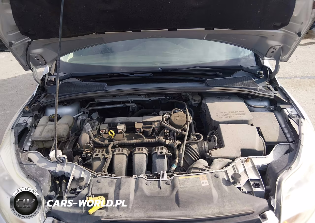 2014 Ford Focus Se VIN:1FADP3K21EL197091 - 10