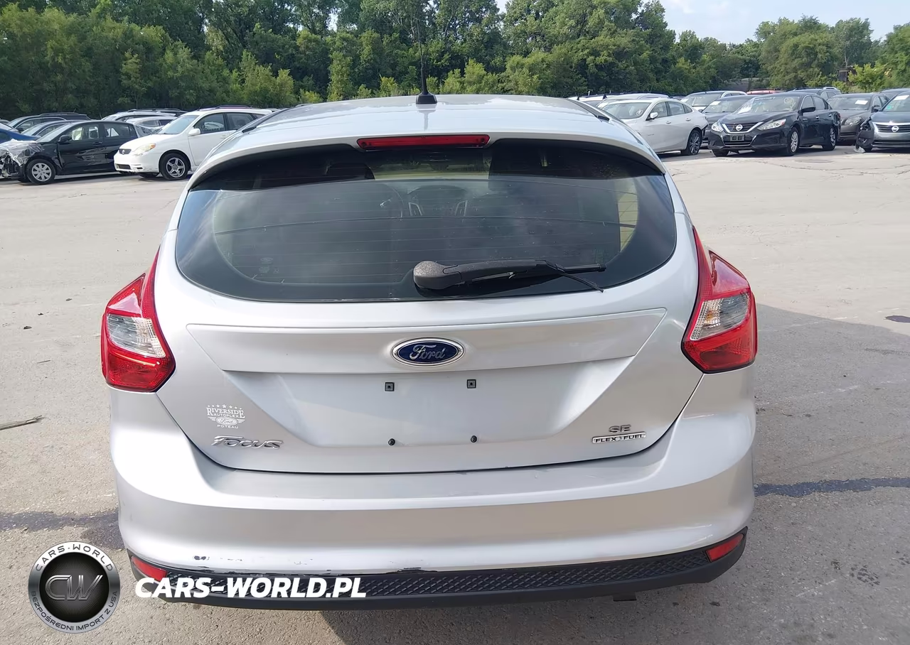 2014 Ford Focus Se VIN:1FADP3K21EL197091 - 16