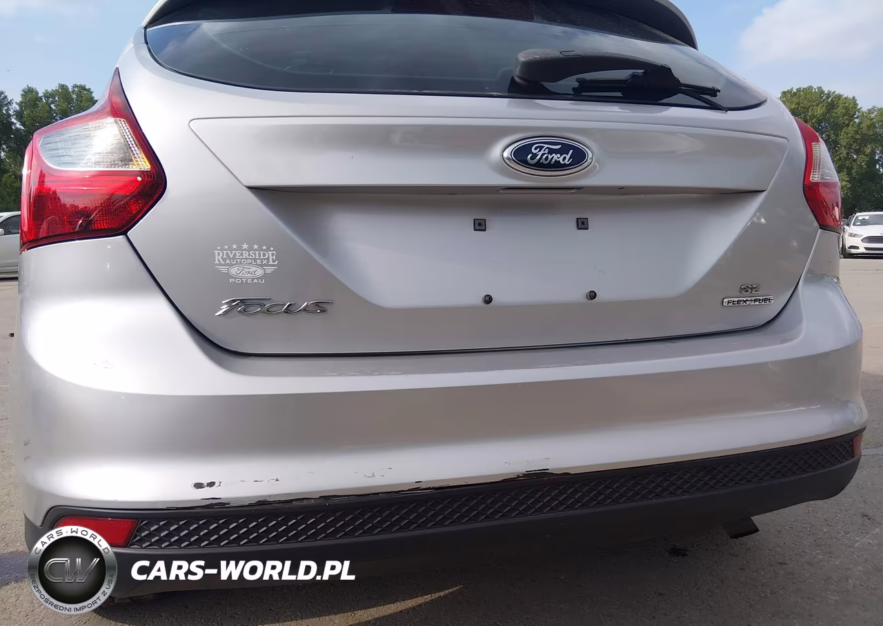 2014 Ford Focus Se VIN:1FADP3K21EL197091 - 17