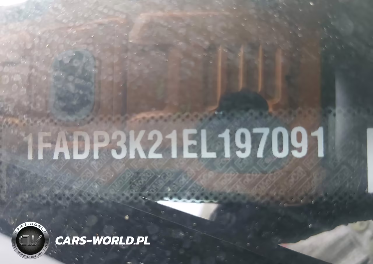 2014 Ford Focus Se VIN:1FADP3K21EL197091 - 9