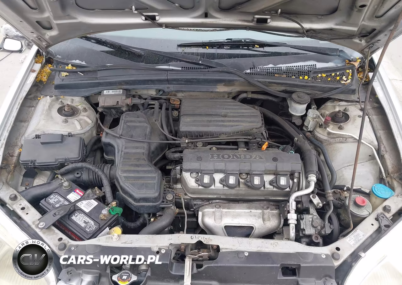 2003 Honda Civic Lx VIN:1HGEM21523L071642 - 10