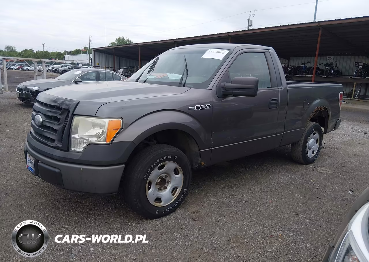 2009 Ford F-150 Stx-Xl-Xlt VIN:1FTRF12W69KA62081 - 2