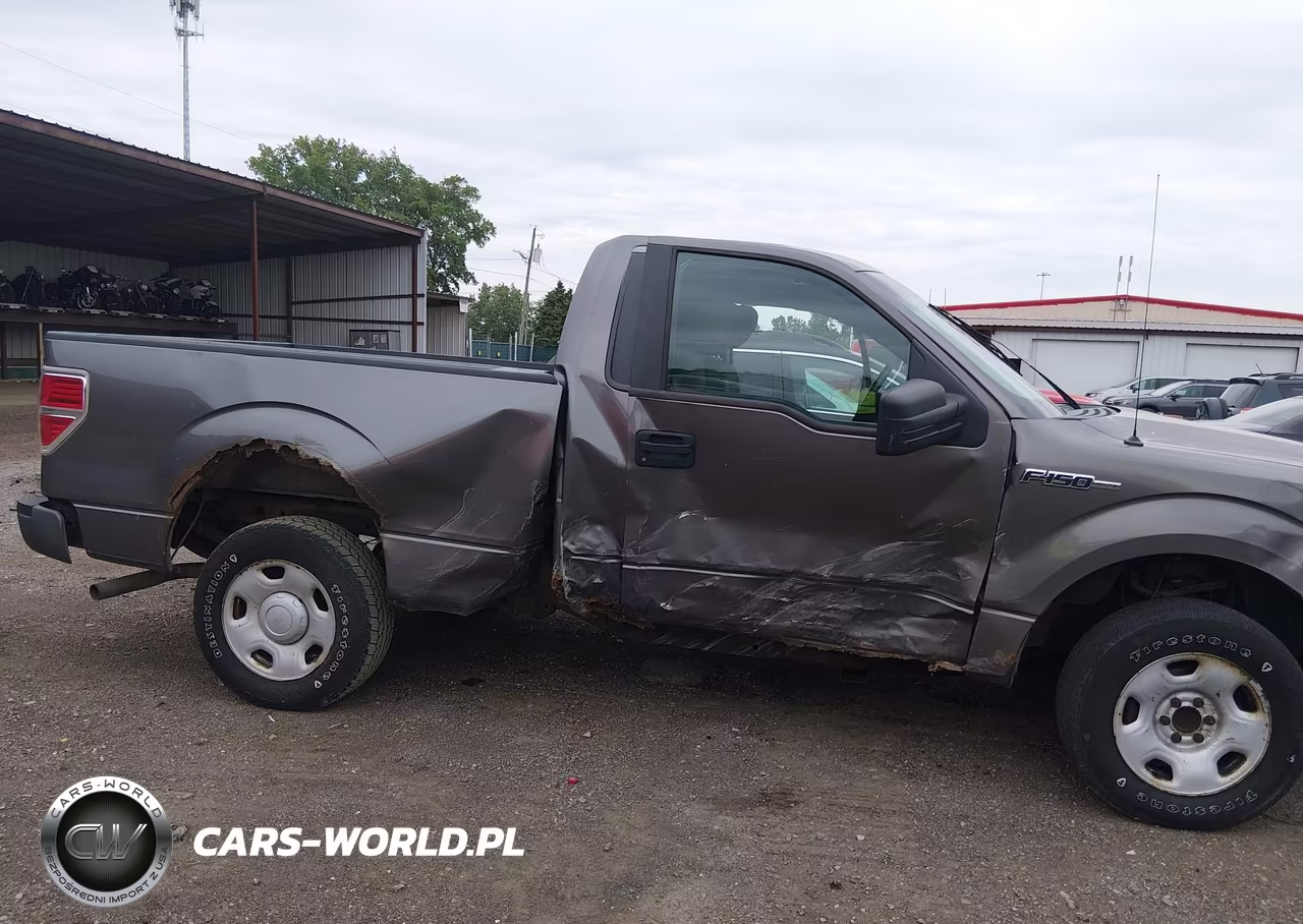 2009 Ford F-150 Stx-Xl-Xlt VIN:1FTRF12W69KA62081 - 6