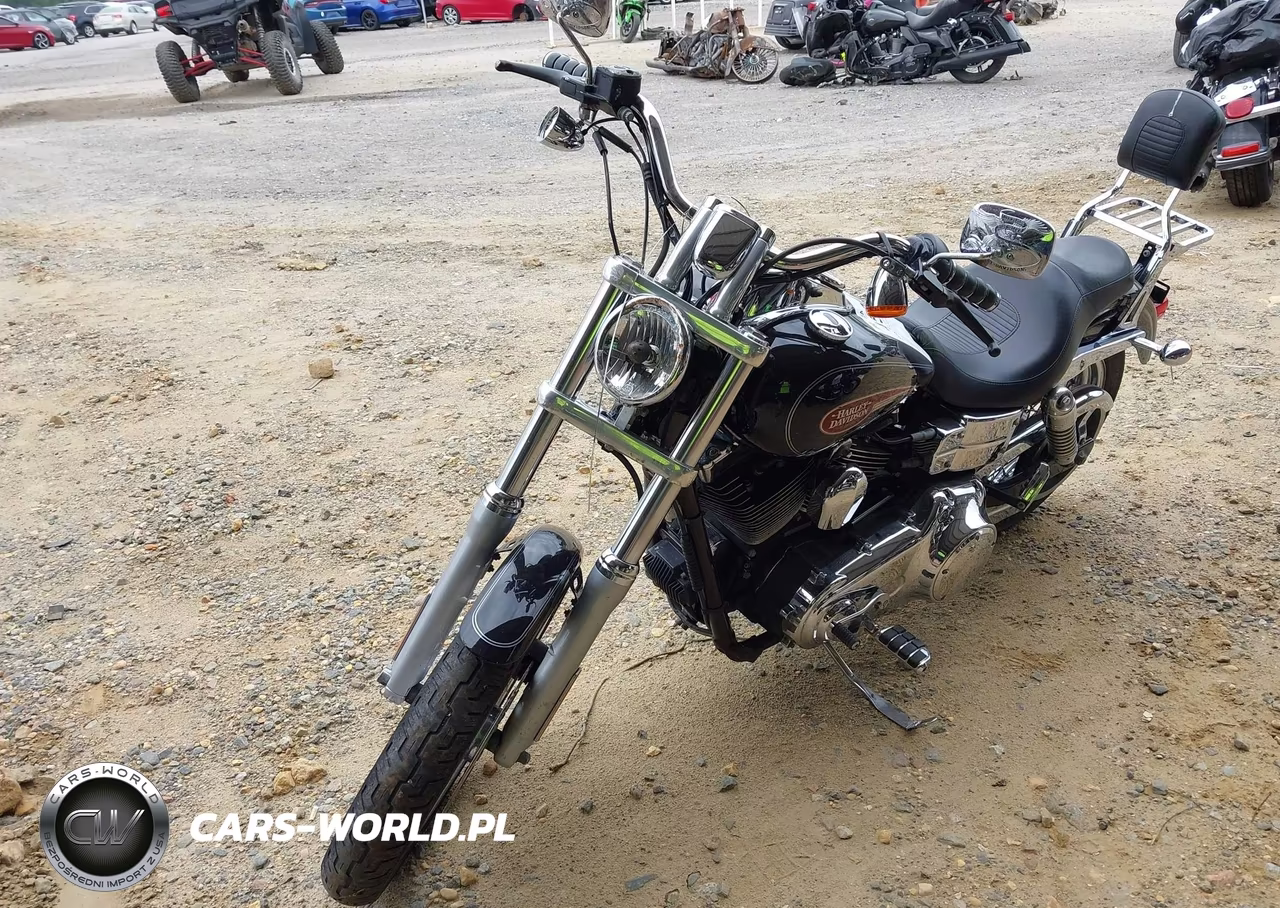 2007 Harley-Davidson Fxdl VIN:1HD1GN4117K345714 - 2