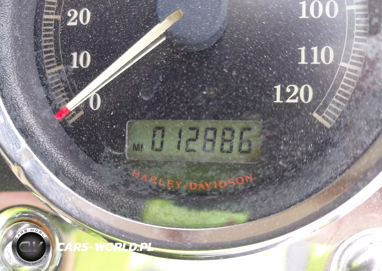 2007 Harley-Davidson Fxdl VIN:1HD1GN4117K345714 - 7