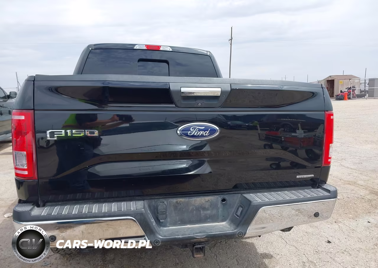 2016 Ford F-150 Xlt VIN:1FTEW1EF7GKF11615 - 16
