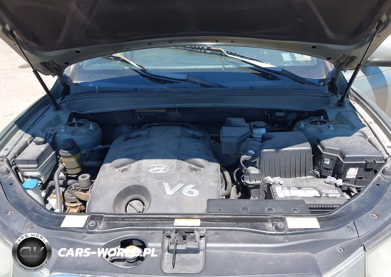 2007 Hyundai Santa Fe Limited-Se VIN:5NMSH73E07H115984 - 10