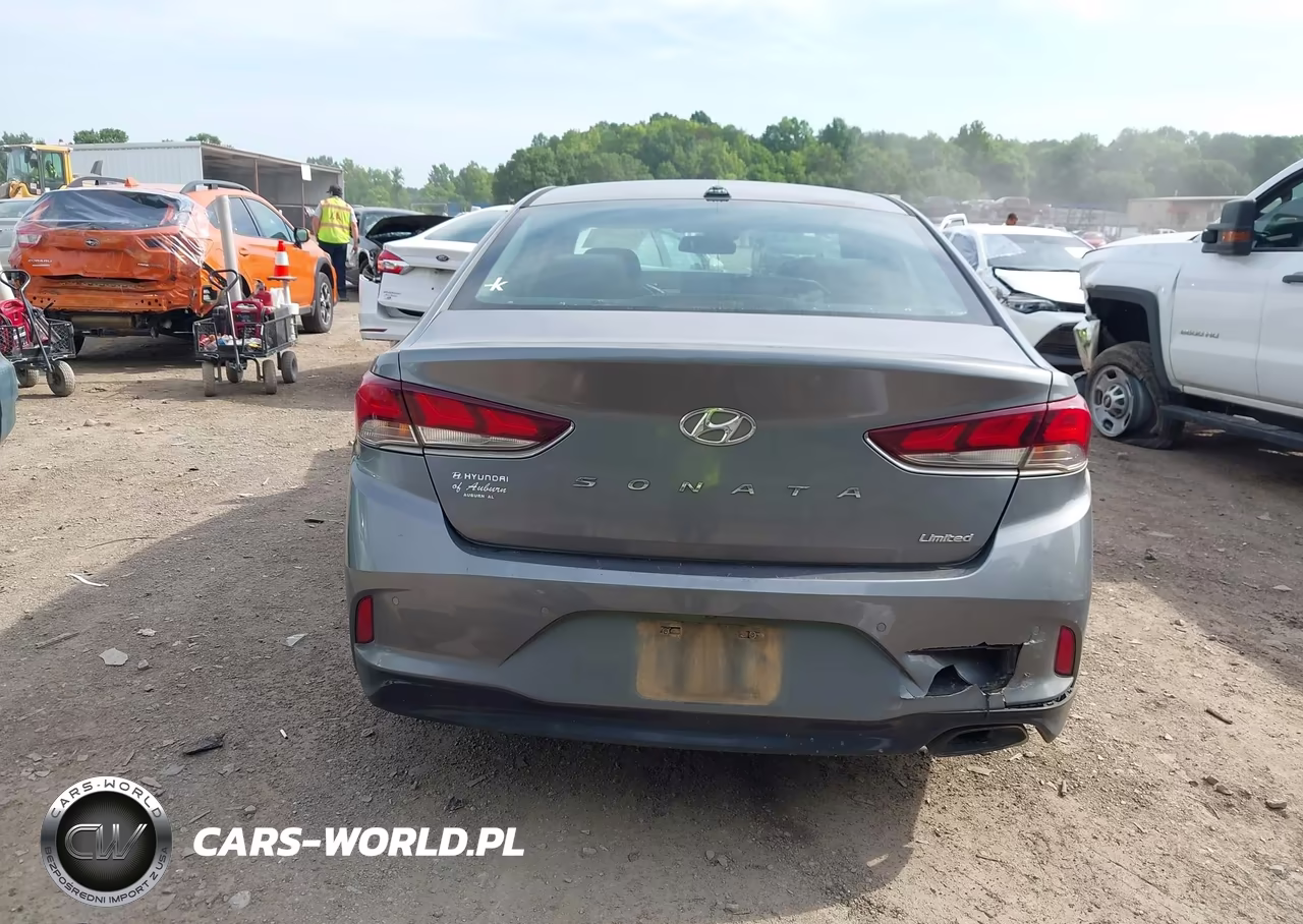 2018 Hyundai Sonata Limited VIN:5NPE34AF4JH651496 - 17