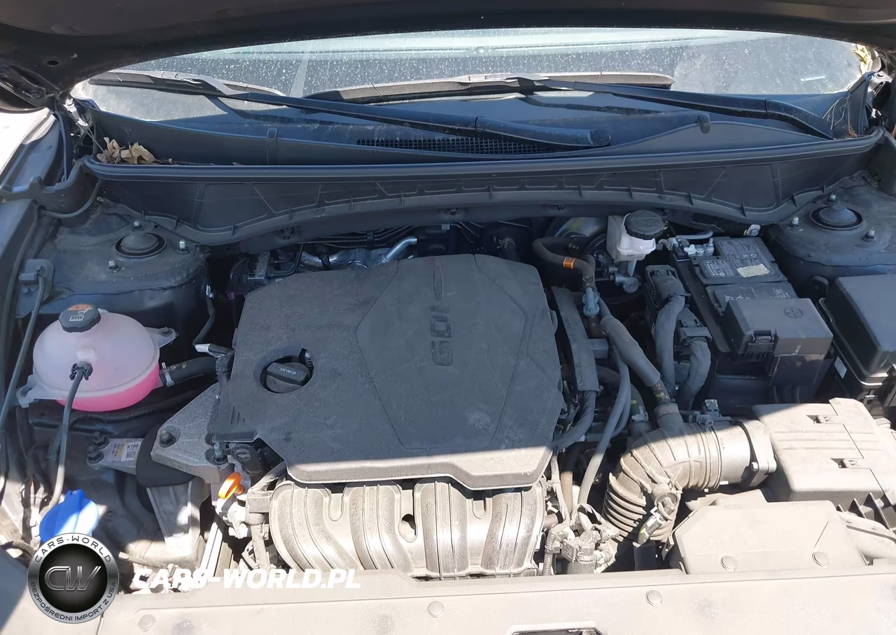 2024 Hyundai Tucson Sel VIN:5NMJBCDE7RH377296 - 10