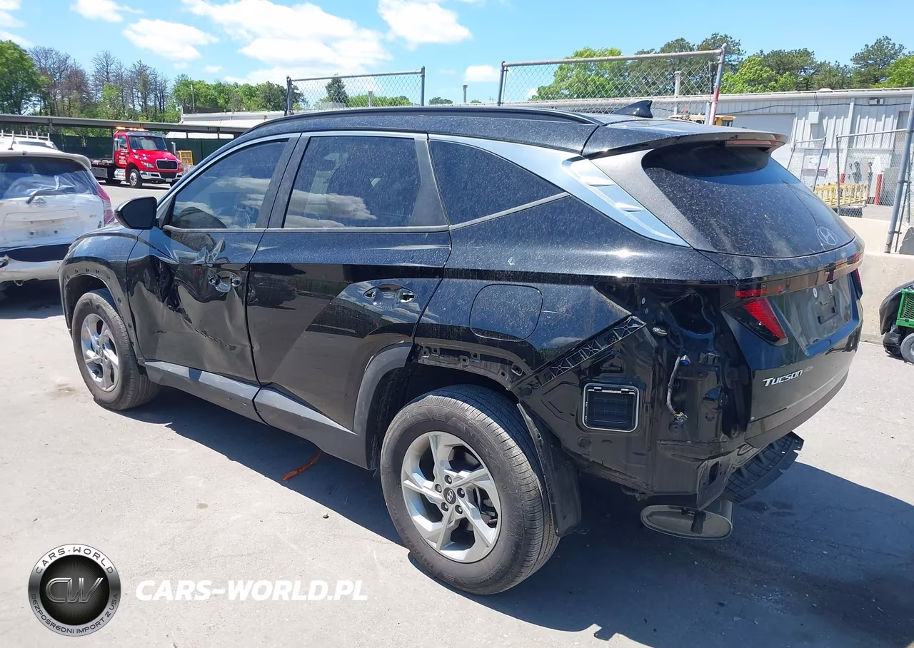 2024 Hyundai Tucson Sel VIN:5NMJBCDE7RH377296 - 6
