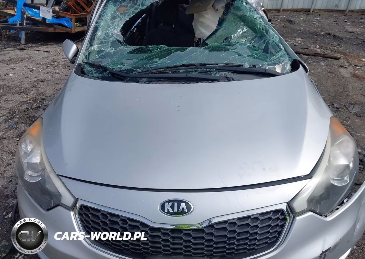 2015 Kia Forte Lx VIN:KNAFX4A62F5339948 - 10