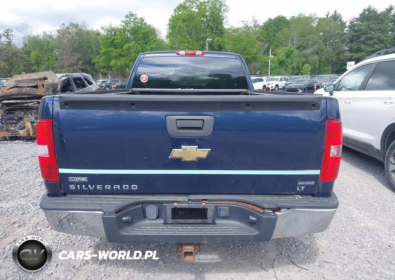 2010 Chevrolet Silverado 1500 Lt VIN:1GCSKSE04AZ268182 - 16