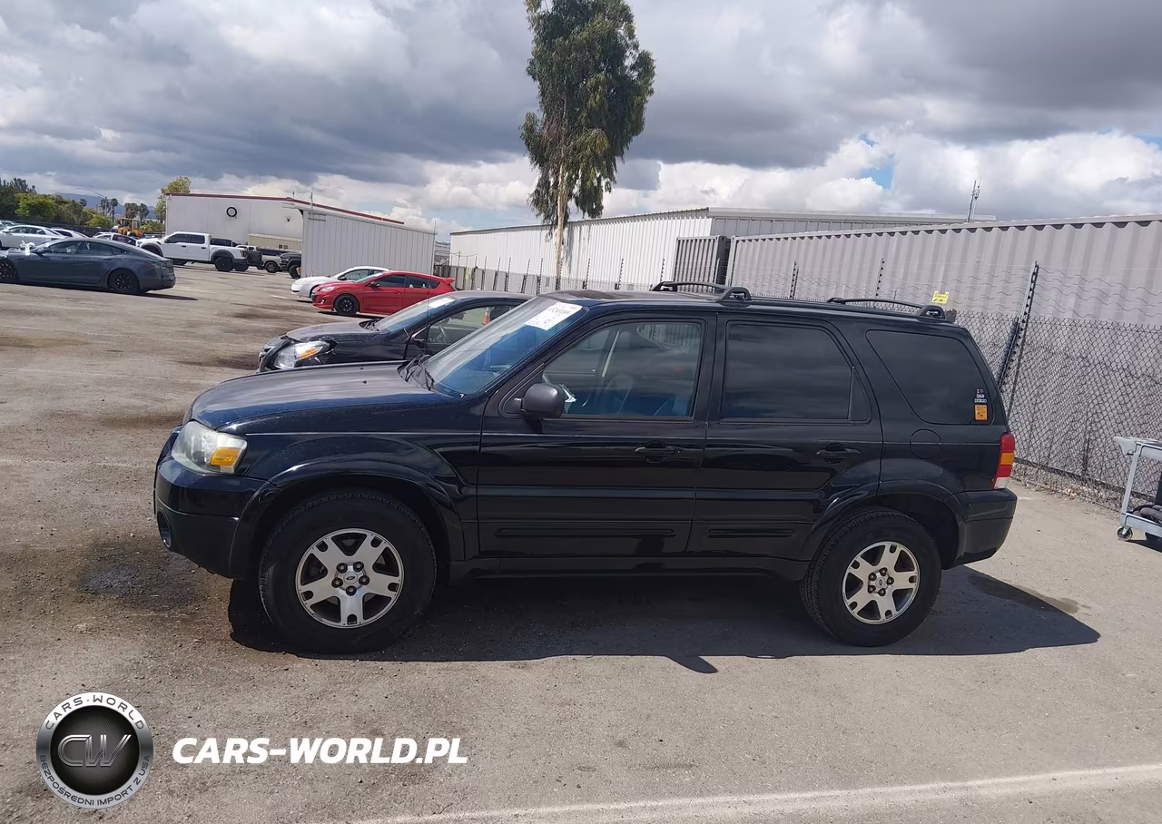 2005 FORD ESCAPE LIMITED VIN:1FMCU94145KC29491 - 14