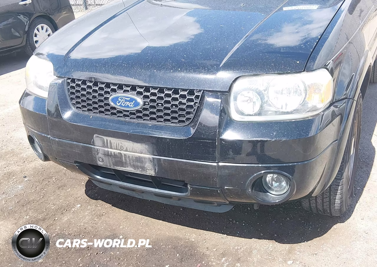 2005 FORD ESCAPE LIMITED VIN:1FMCU94145KC29491 - 6