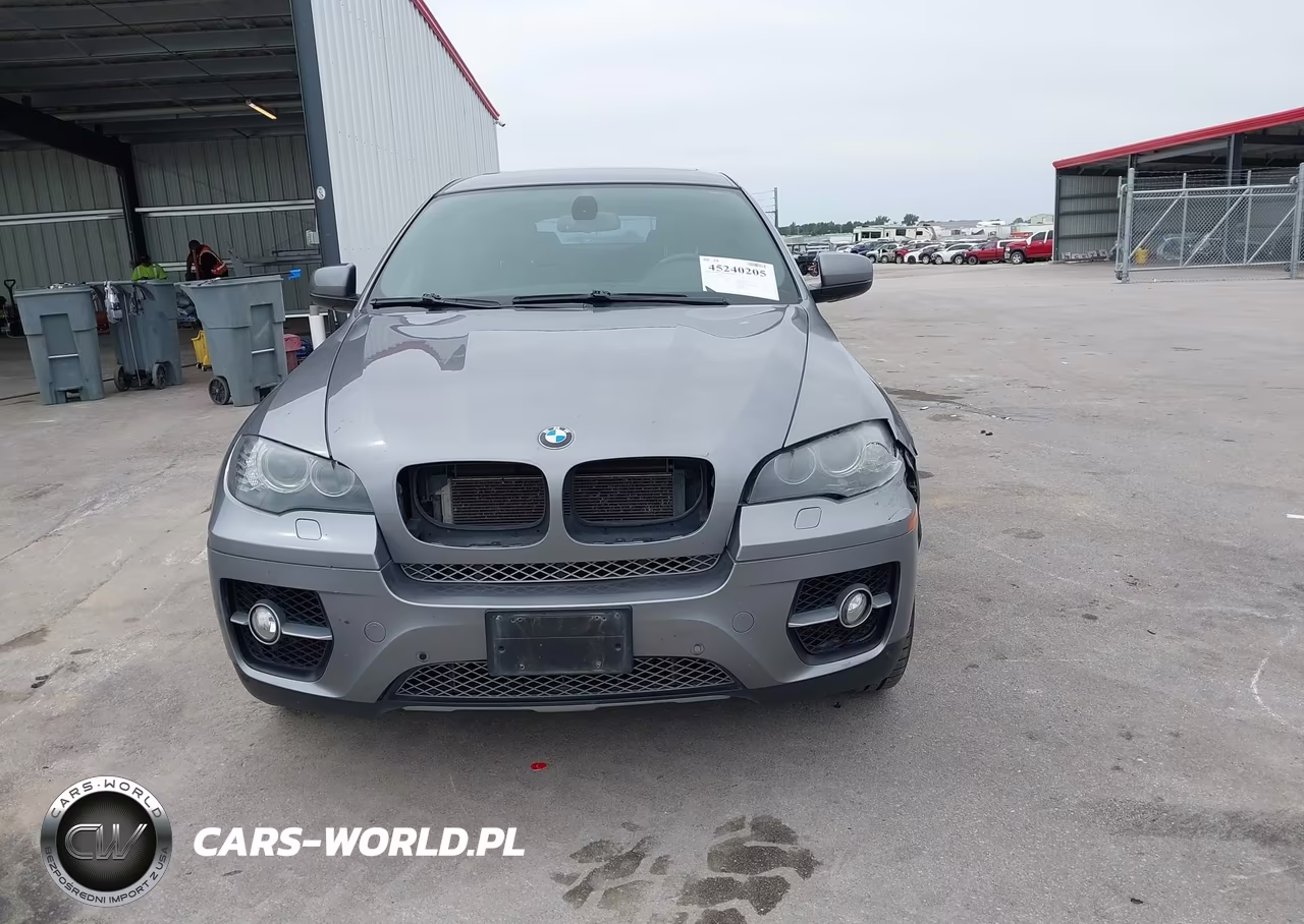 2011 BMW X6 xDrive50I VIN:5UXFG8C5XBLZ96595 - 12