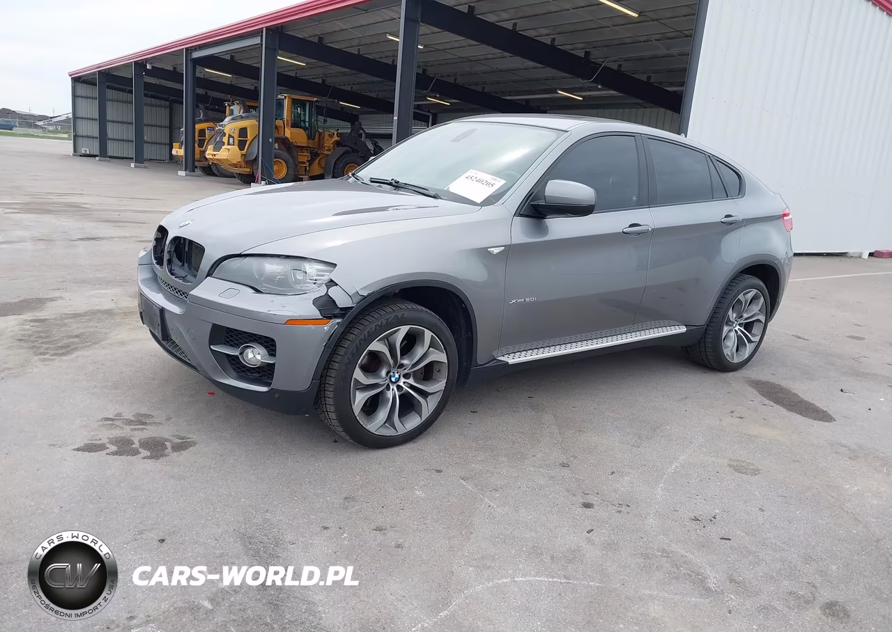 2011 BMW X6 xDrive50I VIN:5UXFG8C5XBLZ96595 - 2