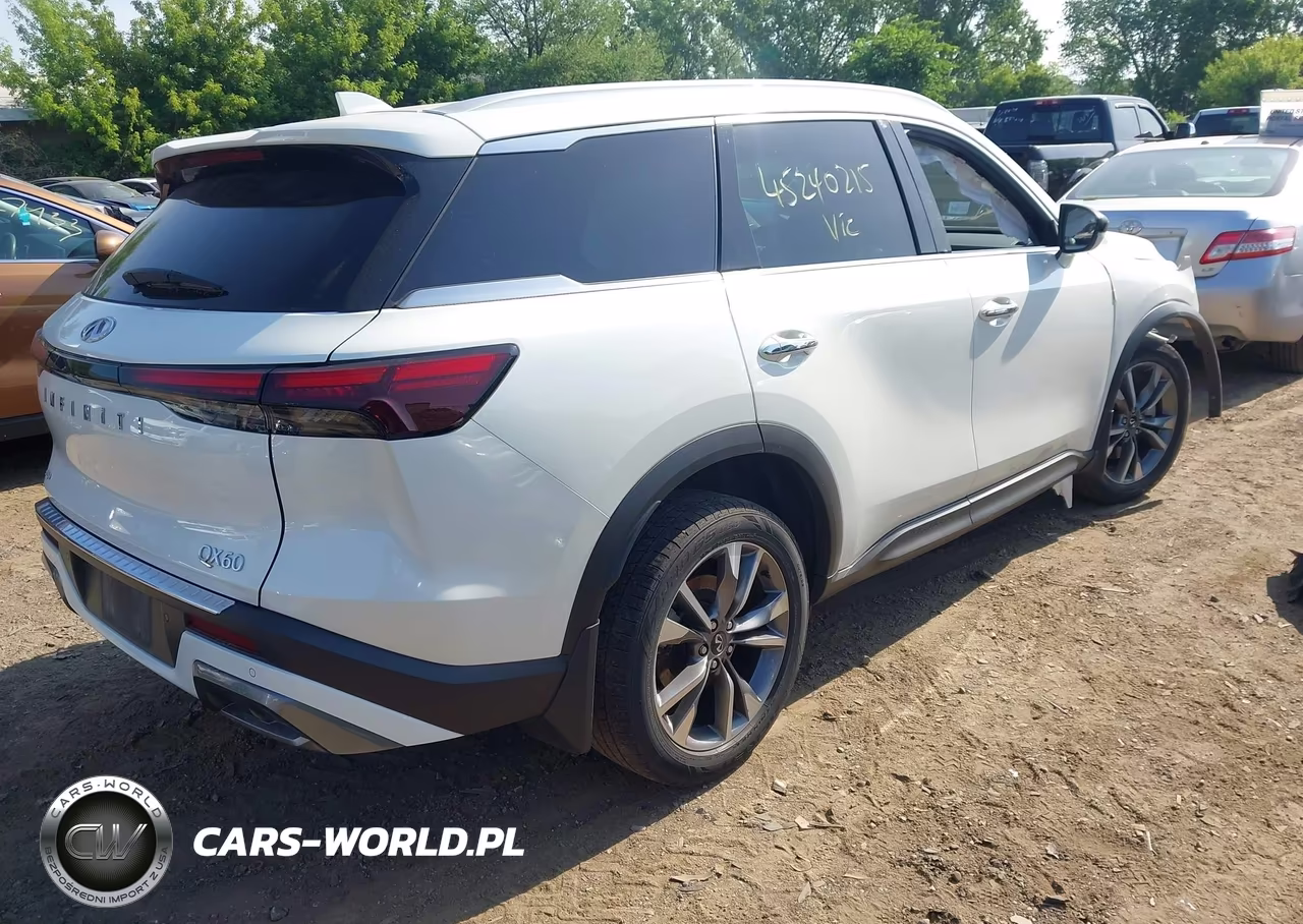 2022 Infiniti Qx60 Luxe Awd VIN:5N1DL1FSXNC331449 - 4