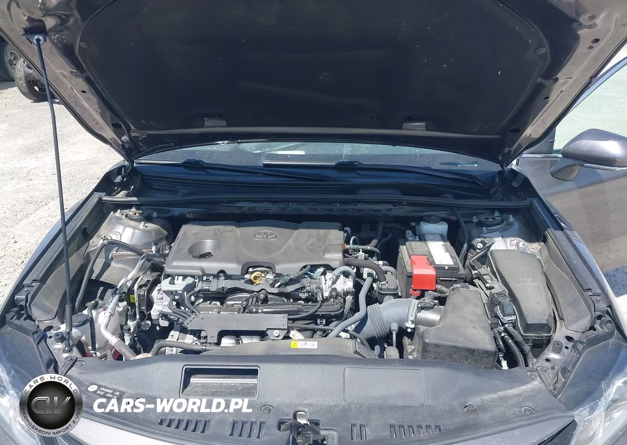 2024 Toyota Camry Le VIN:4T1R11AK2RU909479 - 10