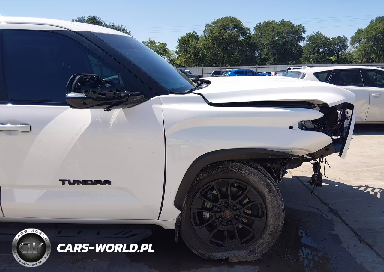 2025 Toyota Tundra Limited VIN:5TFWA5DB9SX284772 - 17