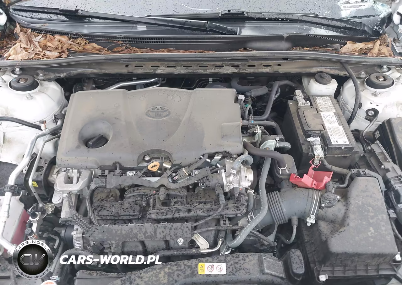 2021 Toyota Camry Xse VIN:4T1K61AK7MU431409 - 10