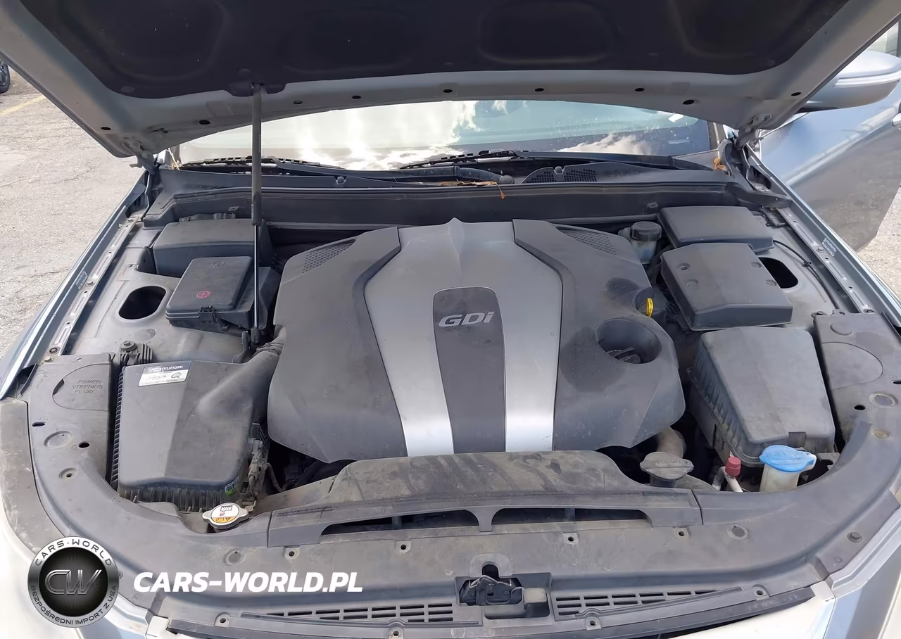 2014 Hyundai Genesis 3.8 VIN:KMHGC4DD1EU263152 - 10