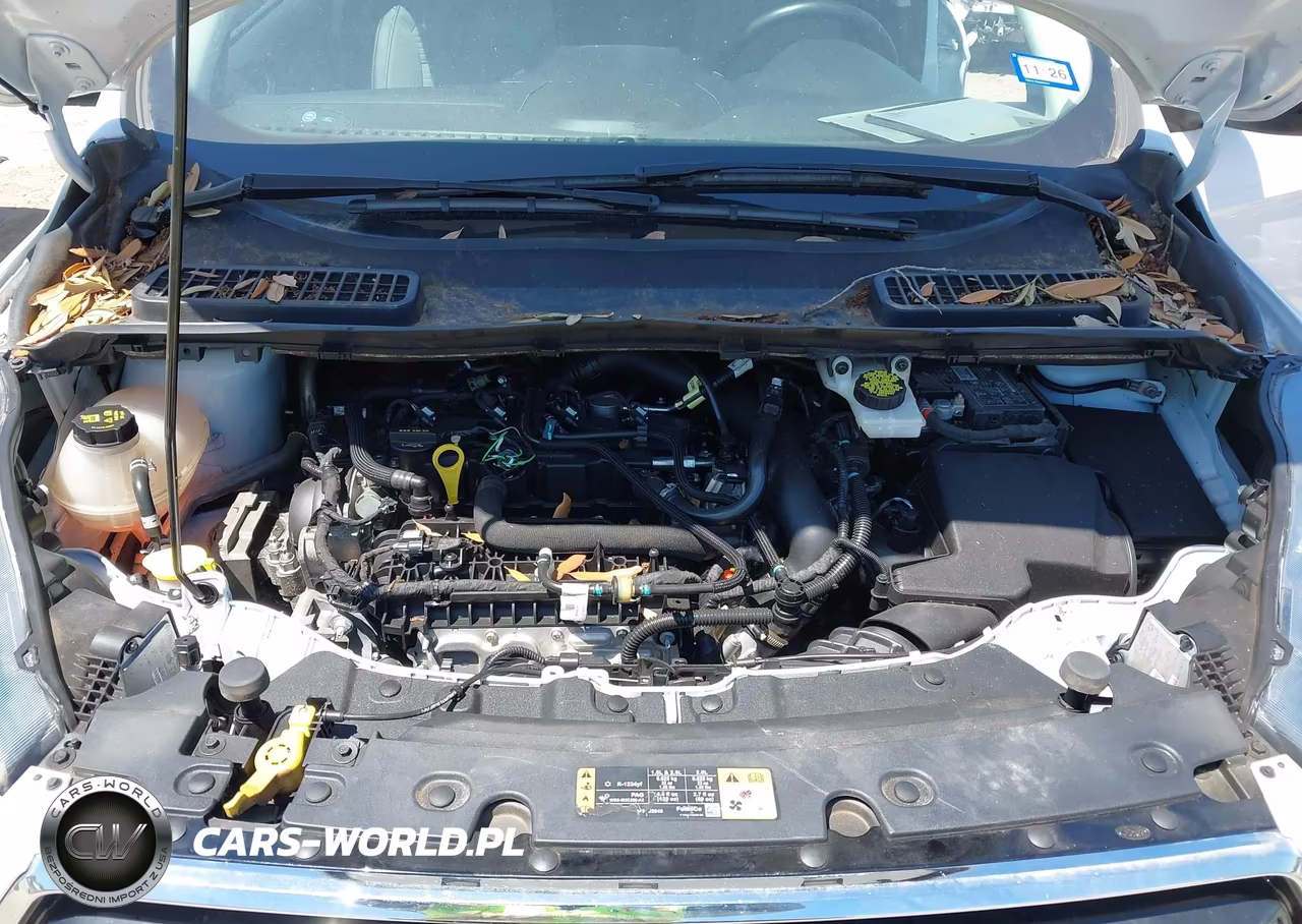 2019 Ford Escape Se VIN:1FMCU9GD5KUB80405 - 10