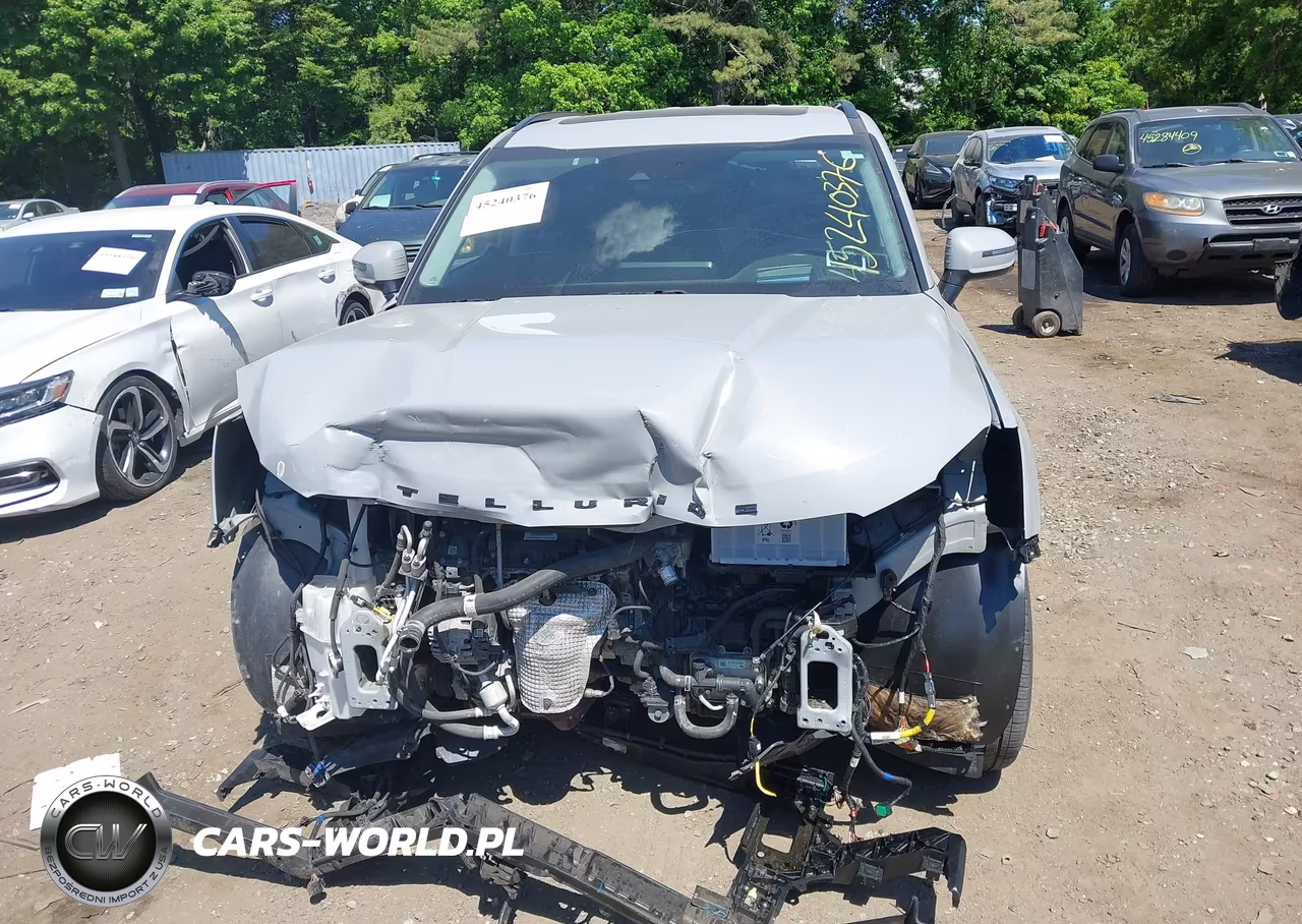 2022 Kia Telluride Sx VIN:5XYP5DHC6NG277212 - 12