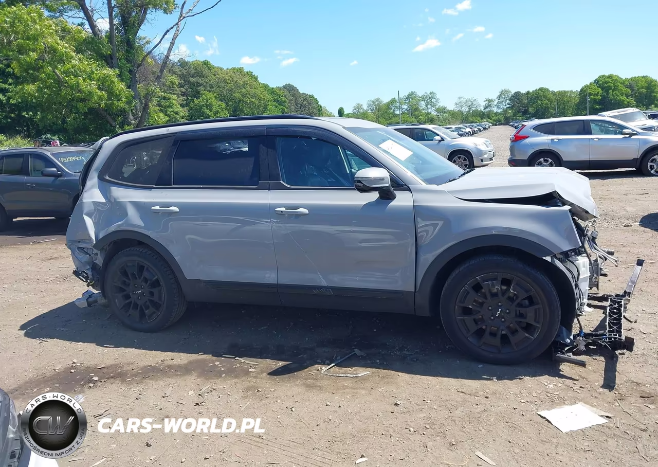 2022 Kia Telluride Sx VIN:5XYP5DHC6NG277212 - 13