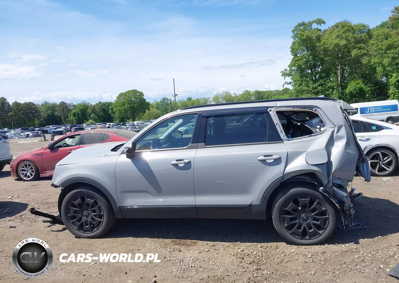 2022 Kia Telluride Sx VIN:5XYP5DHC6NG277212 - 14