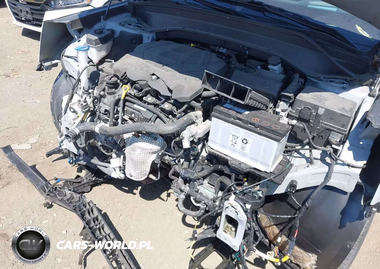 2022 Kia Telluride Sx VIN:5XYP5DHC6NG277212 - 19