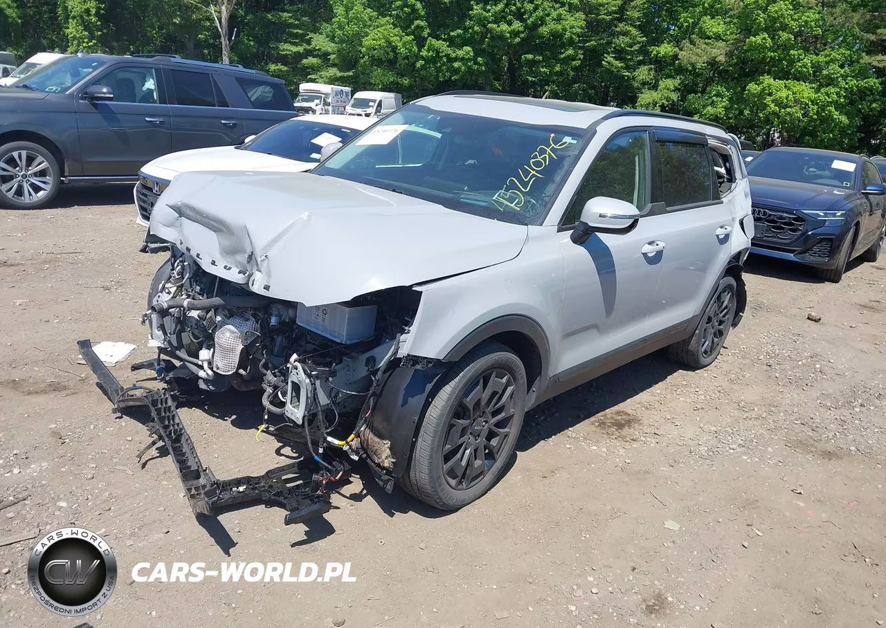2022 Kia Telluride Sx VIN:5XYP5DHC6NG277212 - 2