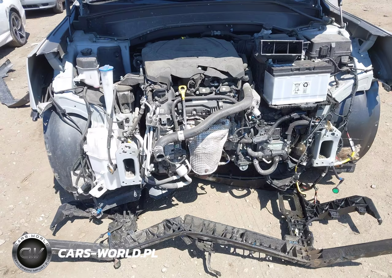 2022 Kia Telluride Sx VIN:5XYP5DHC6NG277212 - 20