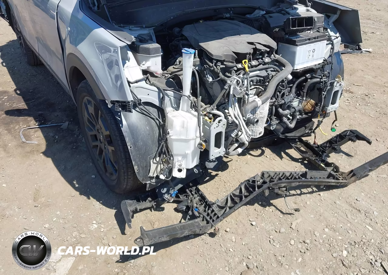 2022 Kia Telluride Sx VIN:5XYP5DHC6NG277212 - 21