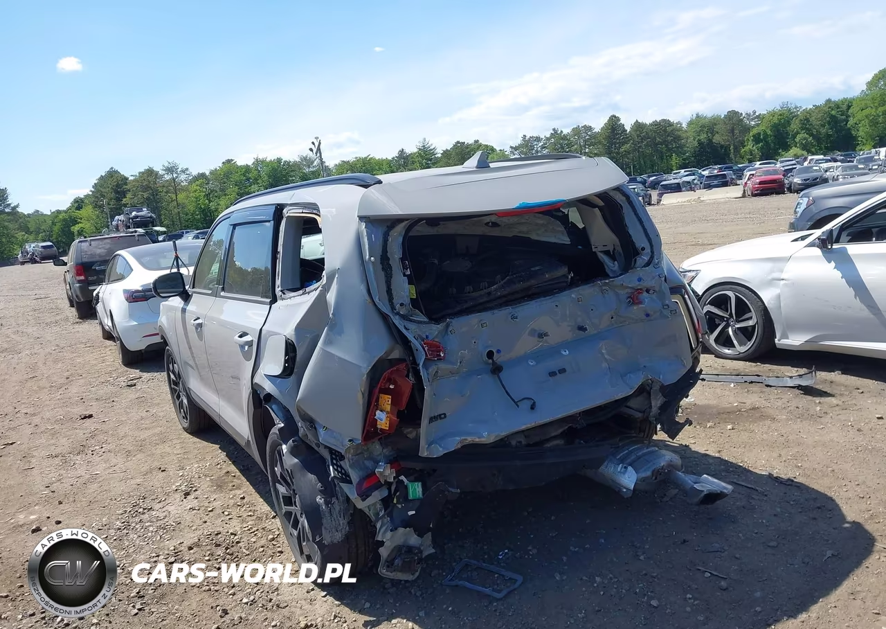 2022 Kia Telluride Sx VIN:5XYP5DHC6NG277212 - 3