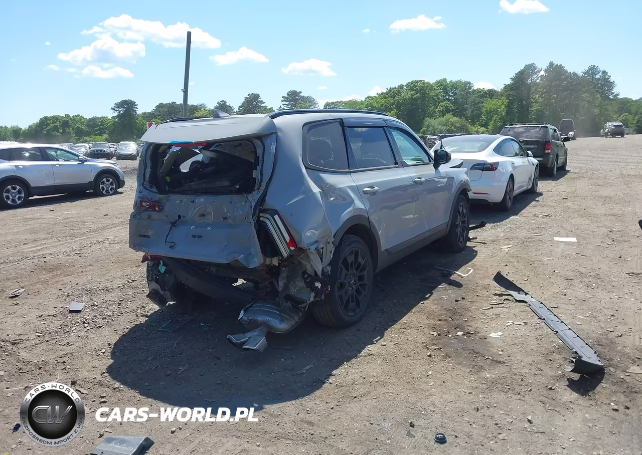 2022 Kia Telluride Sx VIN:5XYP5DHC6NG277212 - 4
