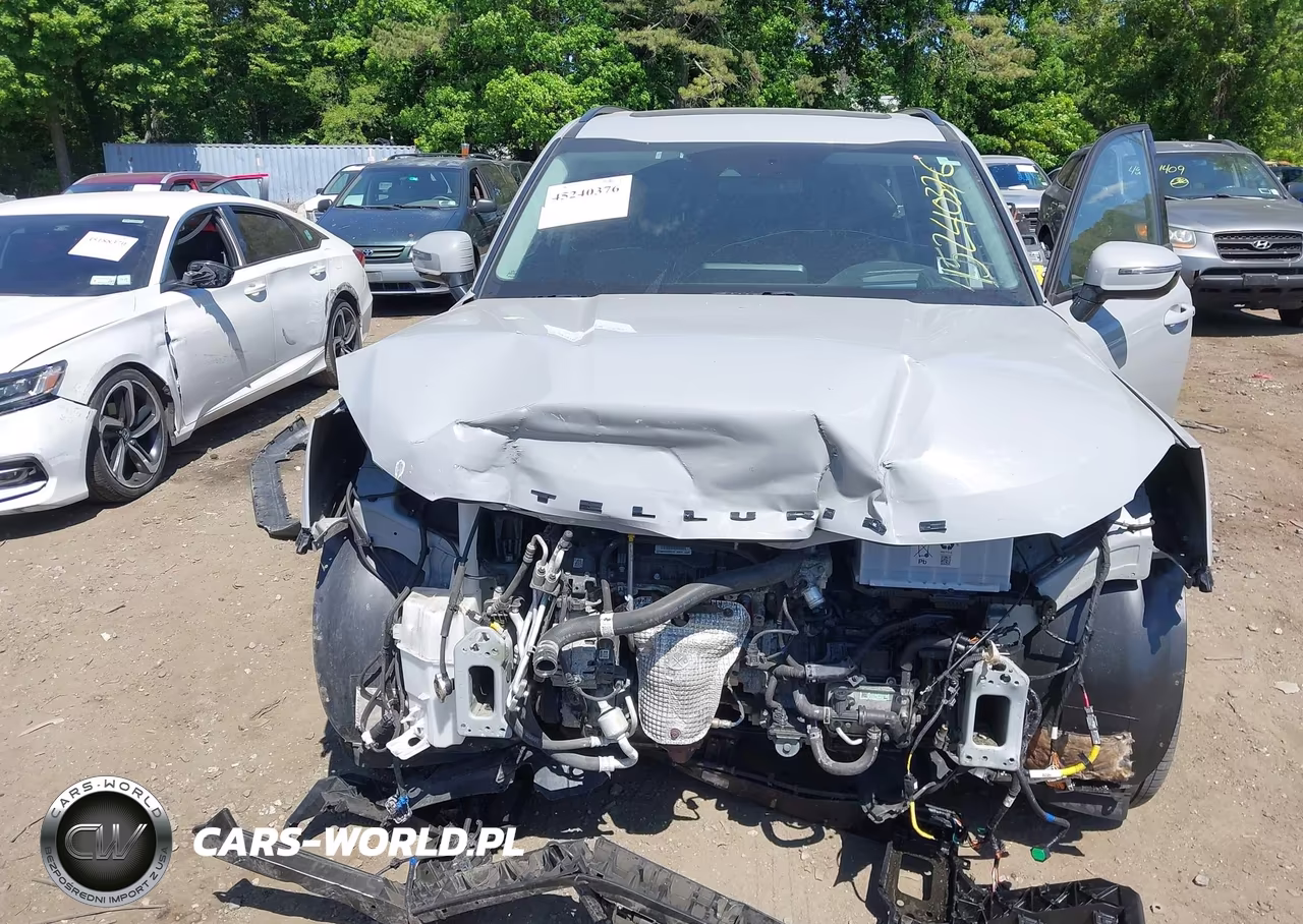 2022 Kia Telluride Sx VIN:5XYP5DHC6NG277212 - 6