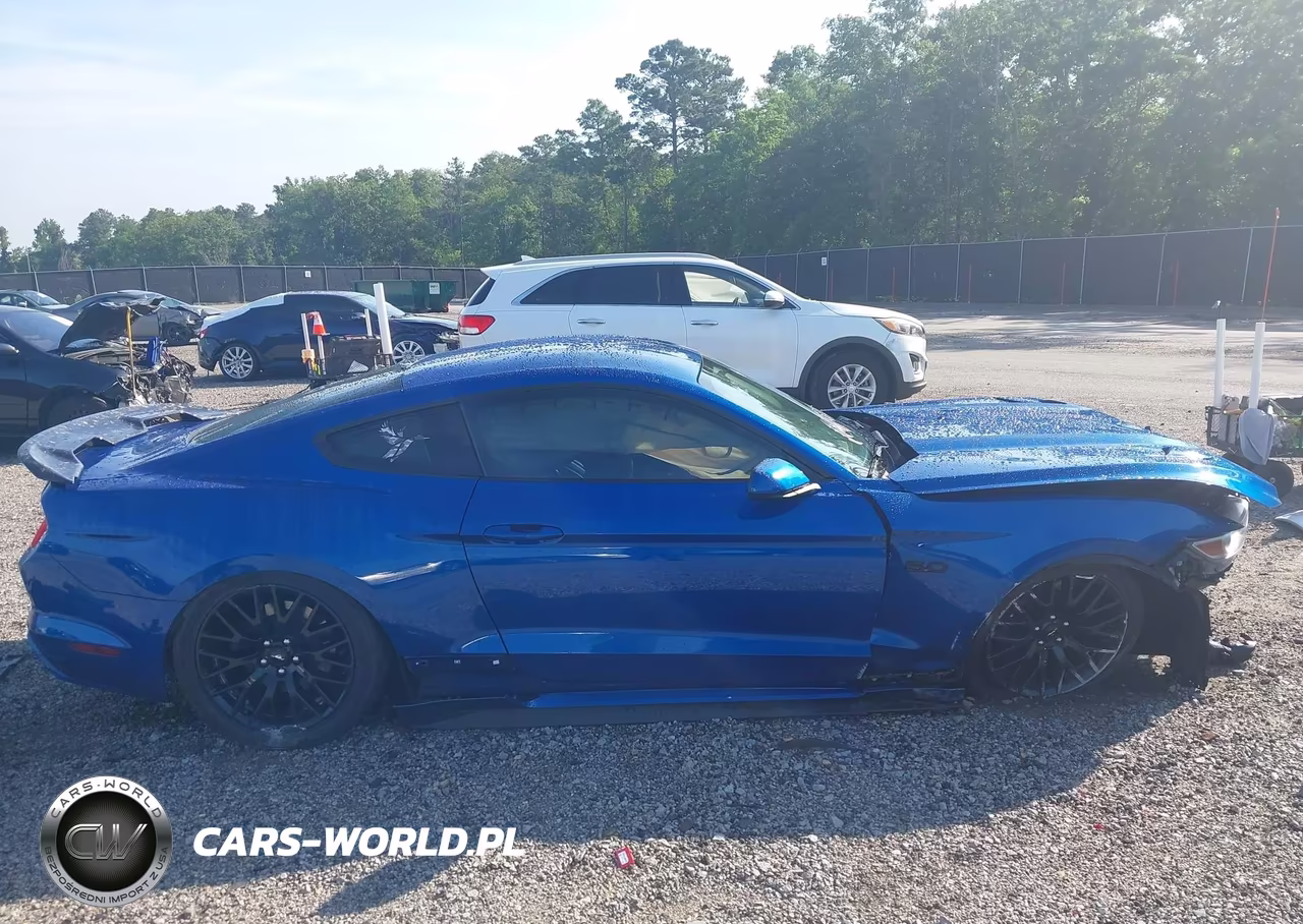 2017 Ford Mustang Gt VIN:1FA6P8CF5H5262797 - 14