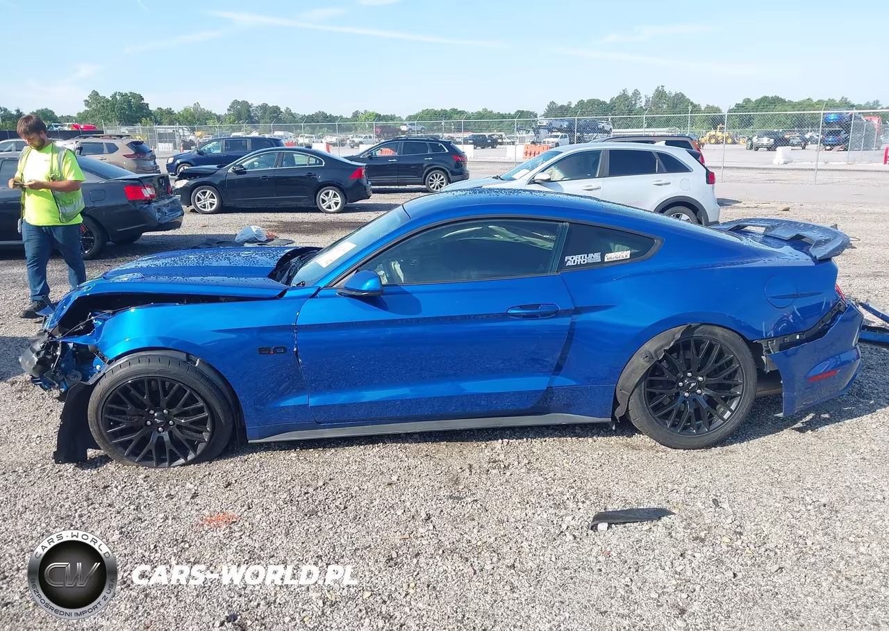 2017 Ford Mustang Gt VIN:1FA6P8CF5H5262797 - 15