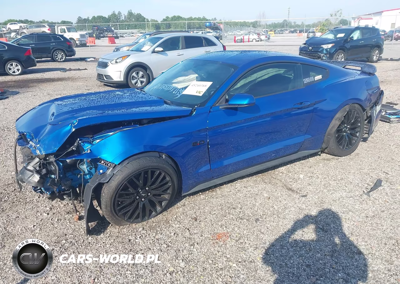 2017 Ford Mustang Gt VIN:1FA6P8CF5H5262797 - 2
