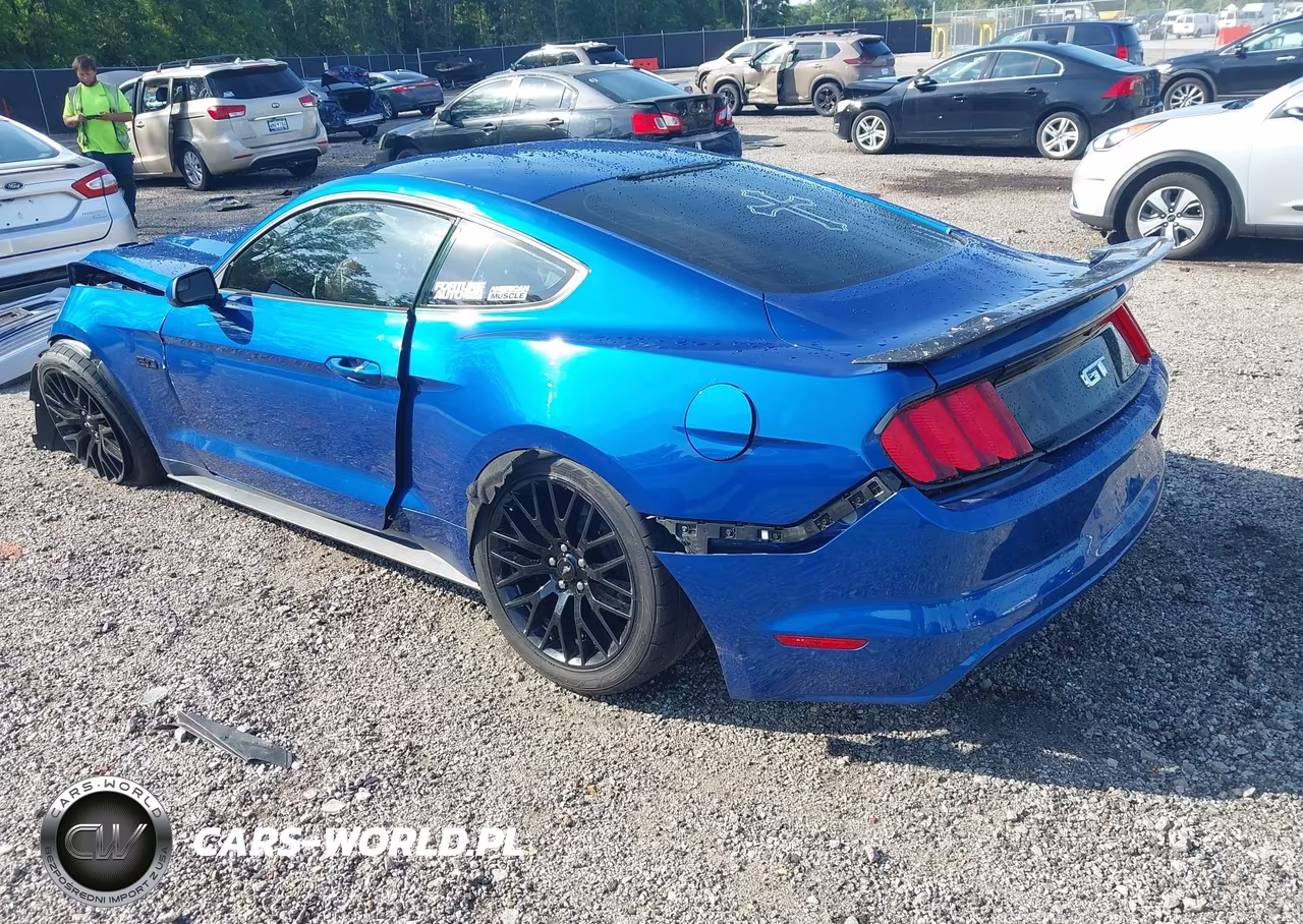 2017 Ford Mustang Gt VIN:1FA6P8CF5H5262797 - 3