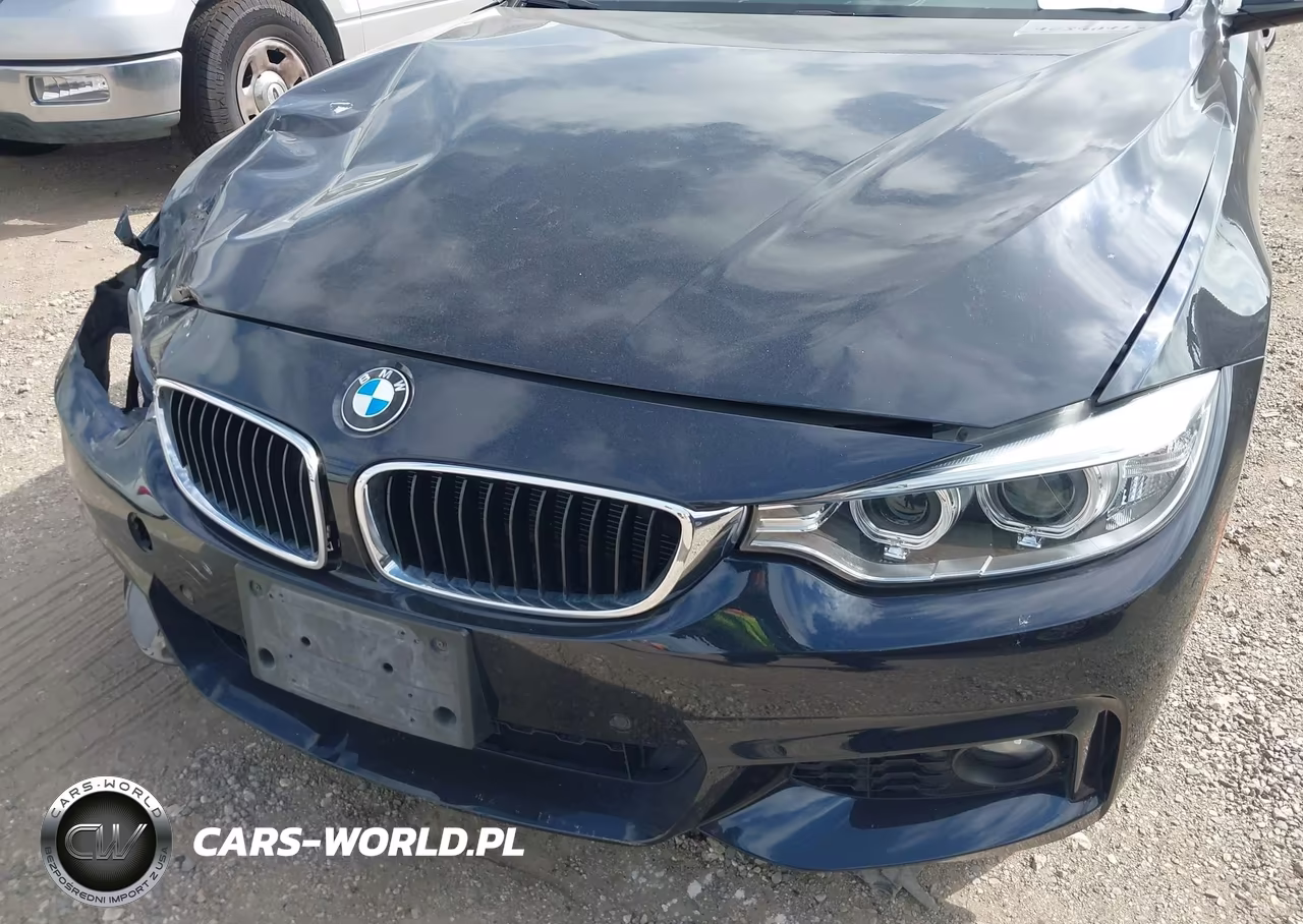 2016 BMW 428I Gran Coupe VIN:WBA4A9C57GG508104 - 18