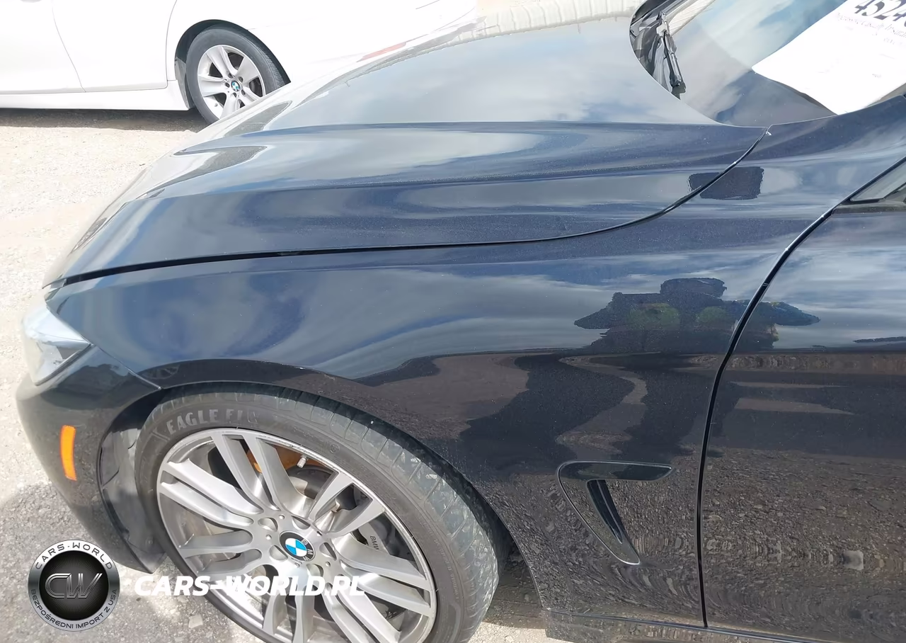 2016 BMW 428I Gran Coupe VIN:WBA4A9C57GG508104 - 19