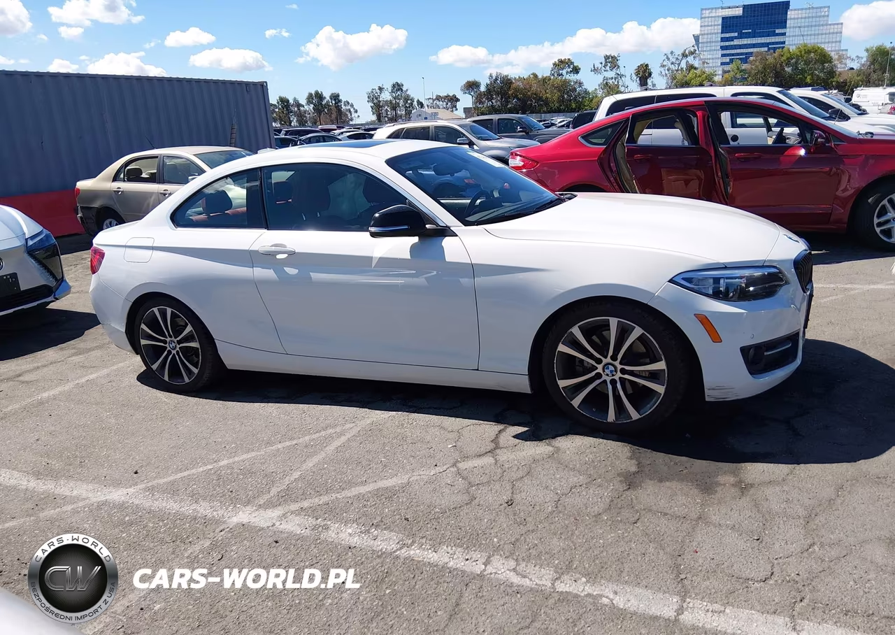 2014 BMW 228I VIN:WBA1F5C55EV255340 - 13